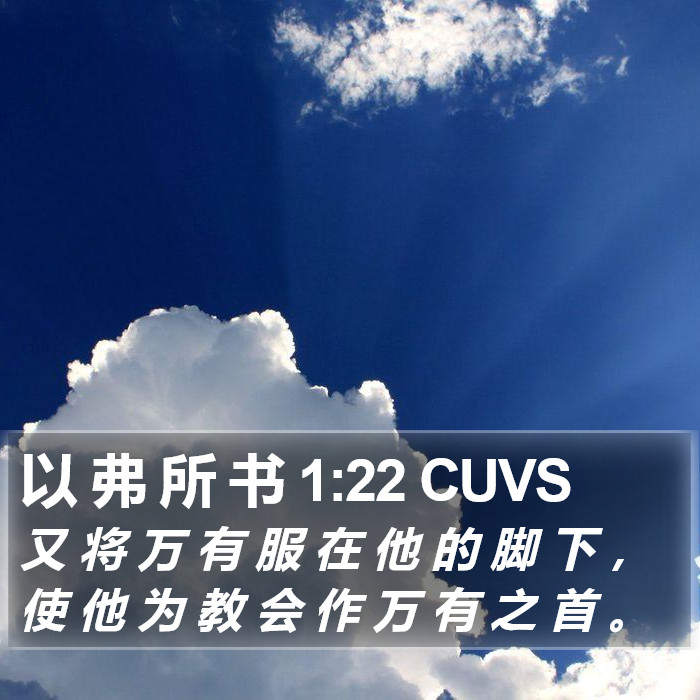 以 弗 所 书 1:22 CUVS Bible Study