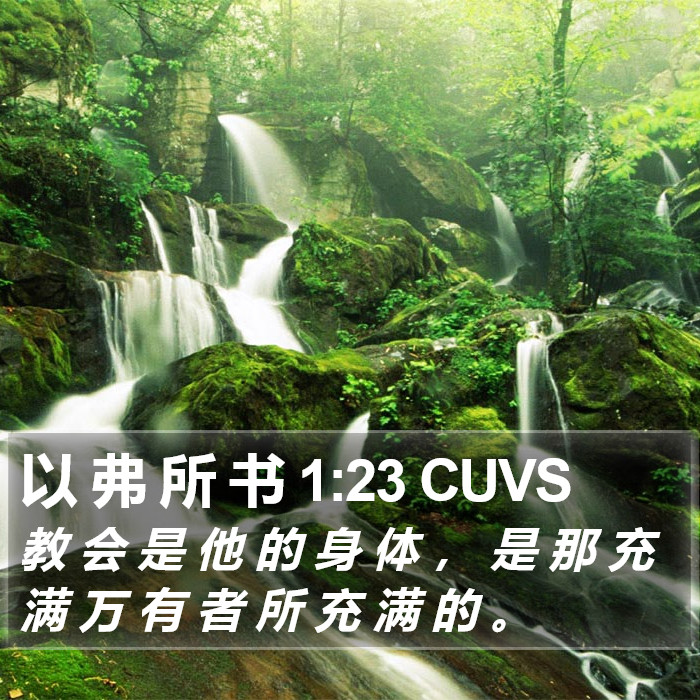 以 弗 所 书 1:23 CUVS Bible Study