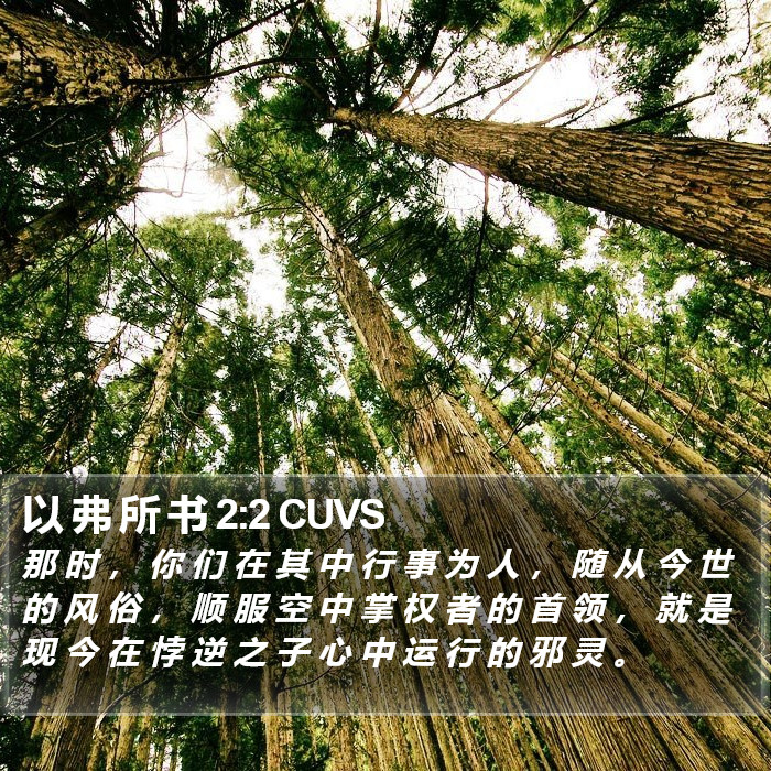 以 弗 所 书 2:2 CUVS Bible Study