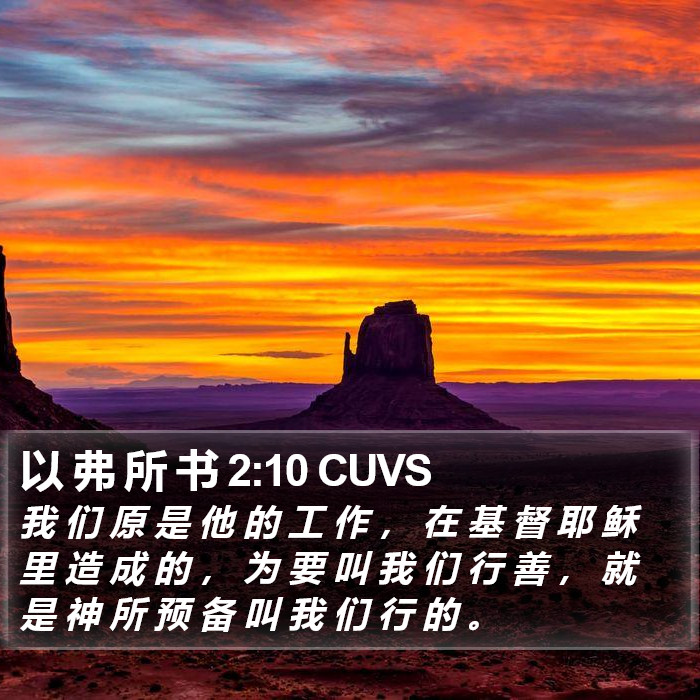 以 弗 所 书 2:10 CUVS Bible Study