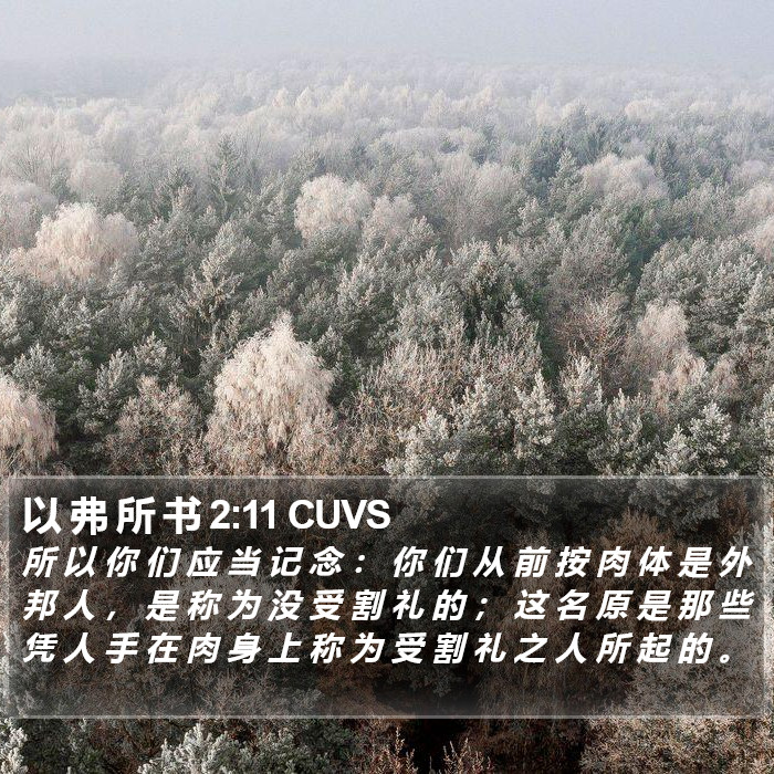 以 弗 所 书 2:11 CUVS Bible Study