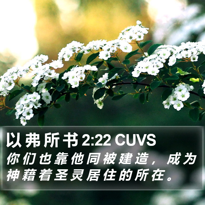 以 弗 所 书 2:22 CUVS Bible Study