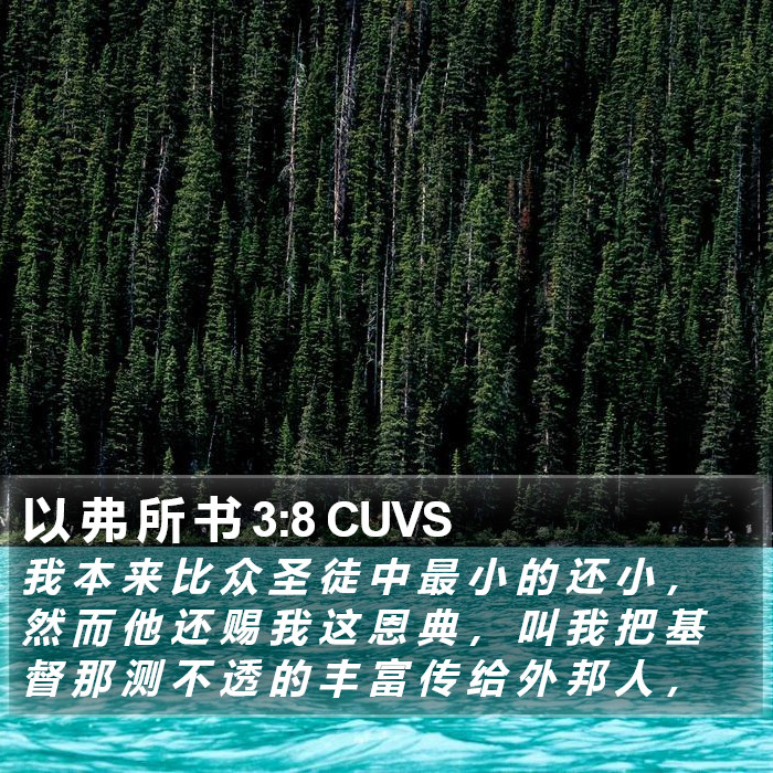 以 弗 所 书 3:8 CUVS Bible Study