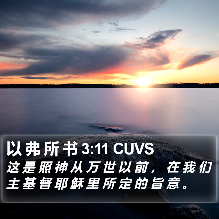 以 弗 所 书 3:11 CUVS Bible Study