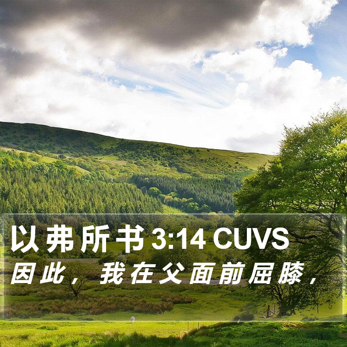 以 弗 所 书 3:14 CUVS Bible Study