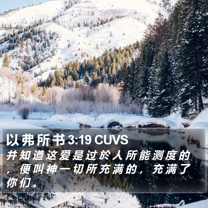 以 弗 所 书 3:19 CUVS Bible Study