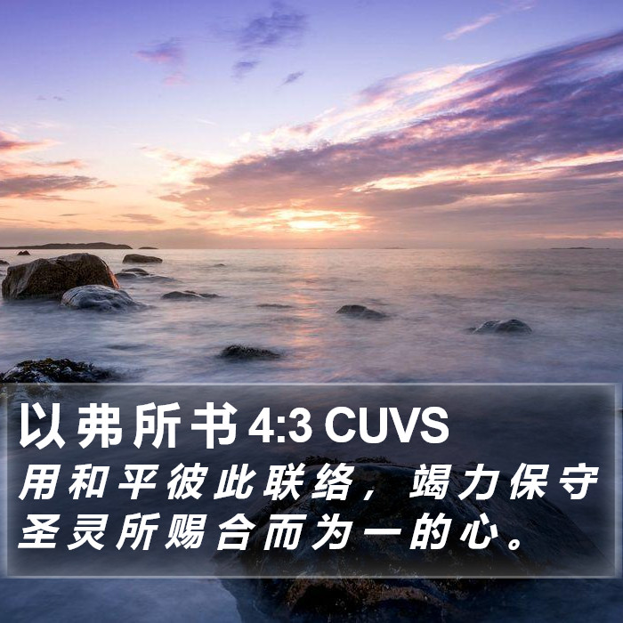 以 弗 所 书 4:3 CUVS Bible Study