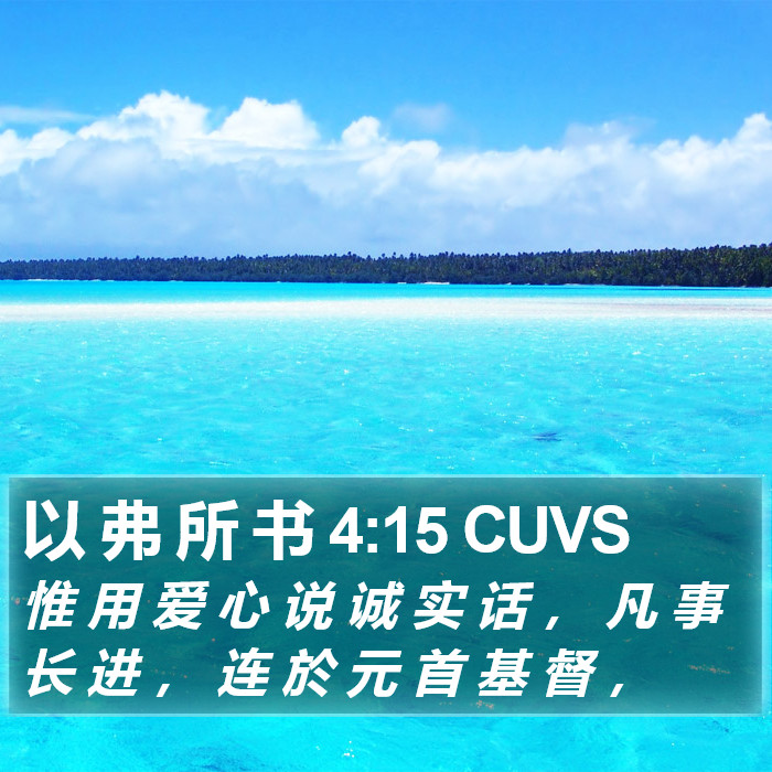 以 弗 所 书 4:15 CUVS Bible Study