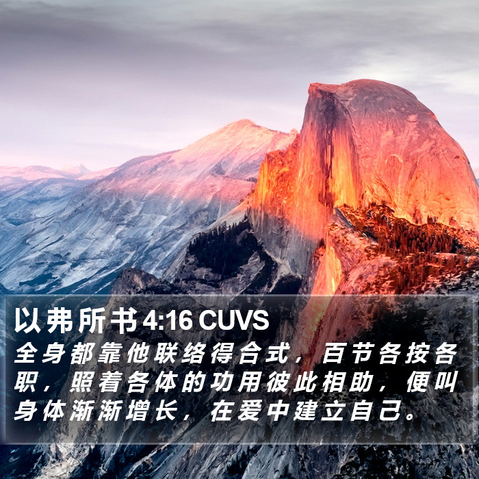 以 弗 所 书 4:16 CUVS Bible Study