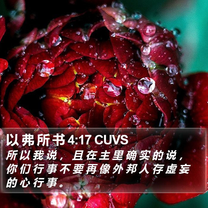以 弗 所 书 4:17 CUVS Bible Study