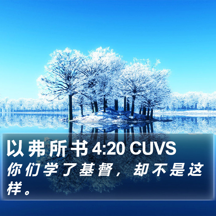 以 弗 所 书 4:20 CUVS Bible Study