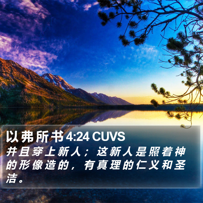 以 弗 所 书 4:24 CUVS Bible Study