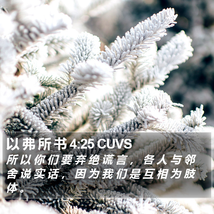 以 弗 所 书 4:25 CUVS Bible Study