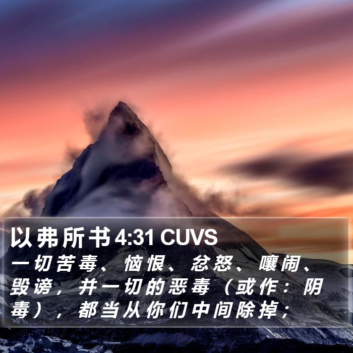 以 弗 所 书 4:31 CUVS Bible Study