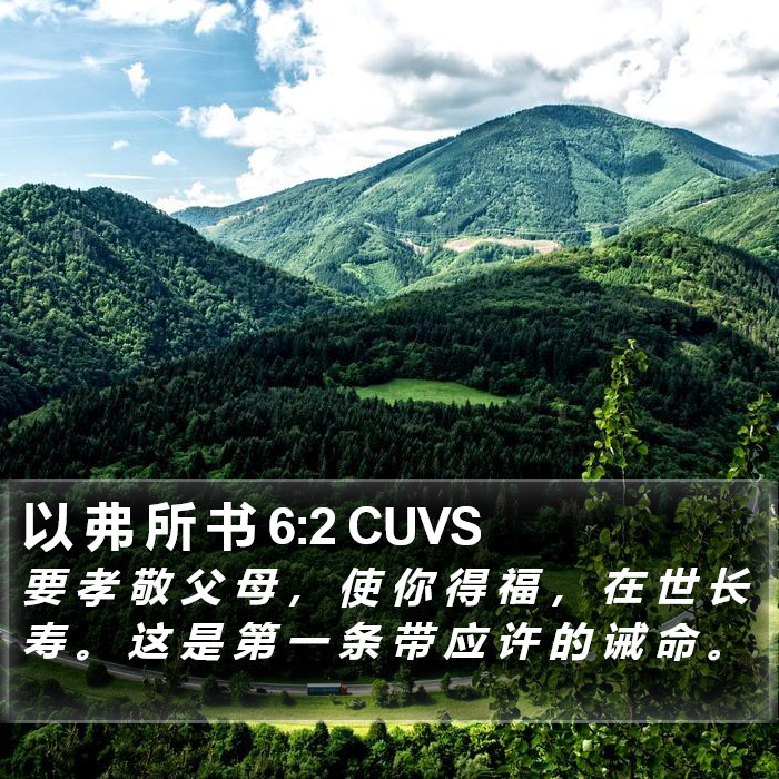 以 弗 所 书 6:2 CUVS Bible Study