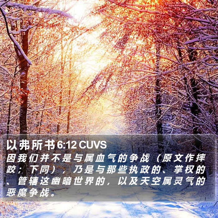 以 弗 所 书 6:12 CUVS Bible Study