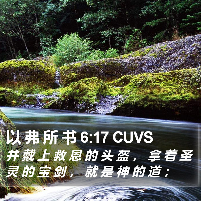以 弗 所 书 6:17 CUVS Bible Study
