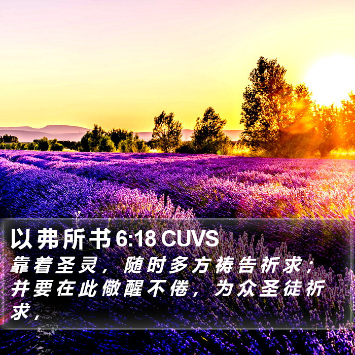 以 弗 所 书 6:18 CUVS Bible Study