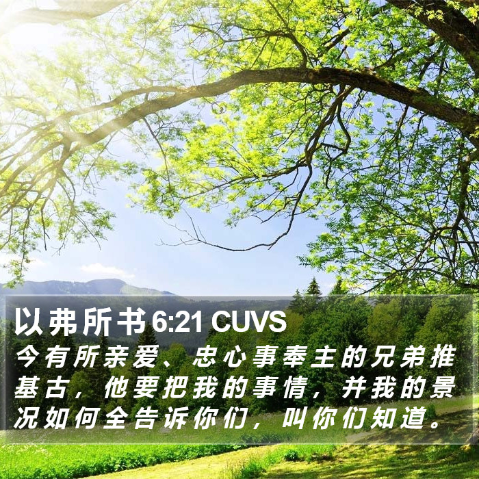 以 弗 所 书 6:21 CUVS Bible Study