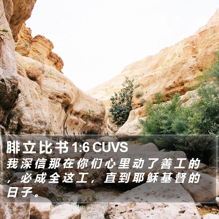 腓 立 比 书 1:6 CUVS Bible Study