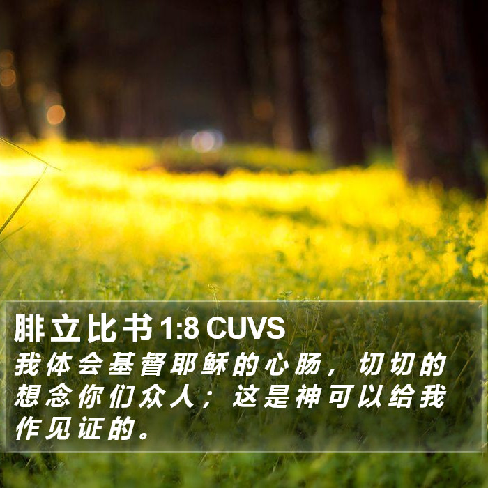 腓 立 比 书 1:8 CUVS Bible Study