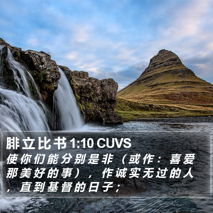 腓 立 比 书 1:10 CUVS Bible Study