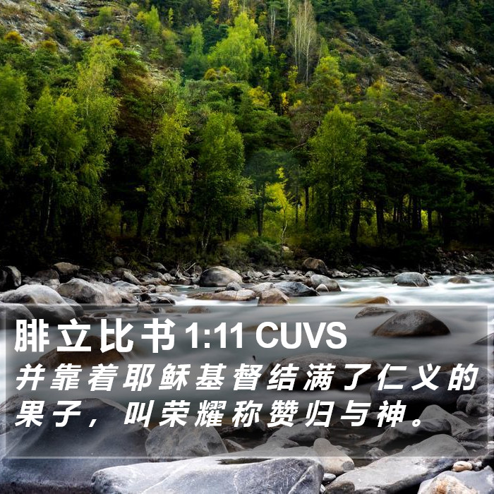 腓 立 比 书 1:11 CUVS Bible Study