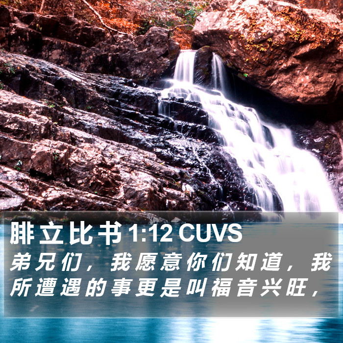 腓 立 比 书 1:12 CUVS Bible Study