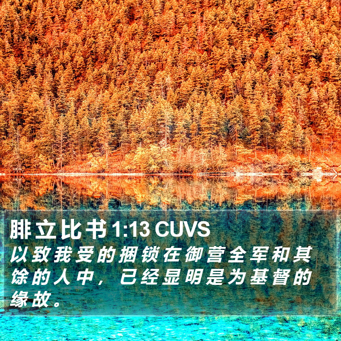 腓 立 比 书 1:13 CUVS Bible Study