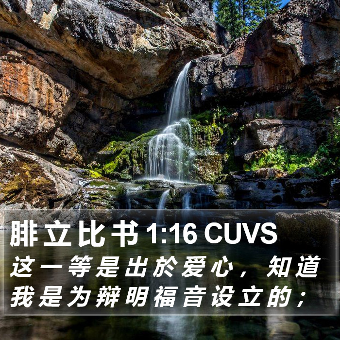 腓 立 比 书 1:16 CUVS Bible Study