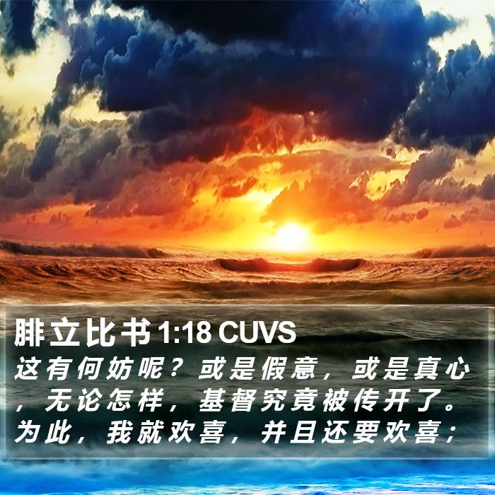 腓 立 比 书 1:18 CUVS Bible Study