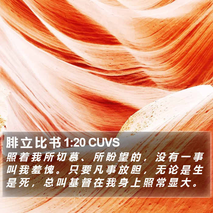 腓 立 比 书 1:20 CUVS Bible Study