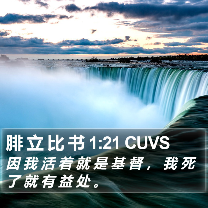 腓 立 比 书 1:21 CUVS Bible Study