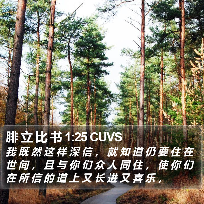 腓 立 比 书 1:25 CUVS Bible Study