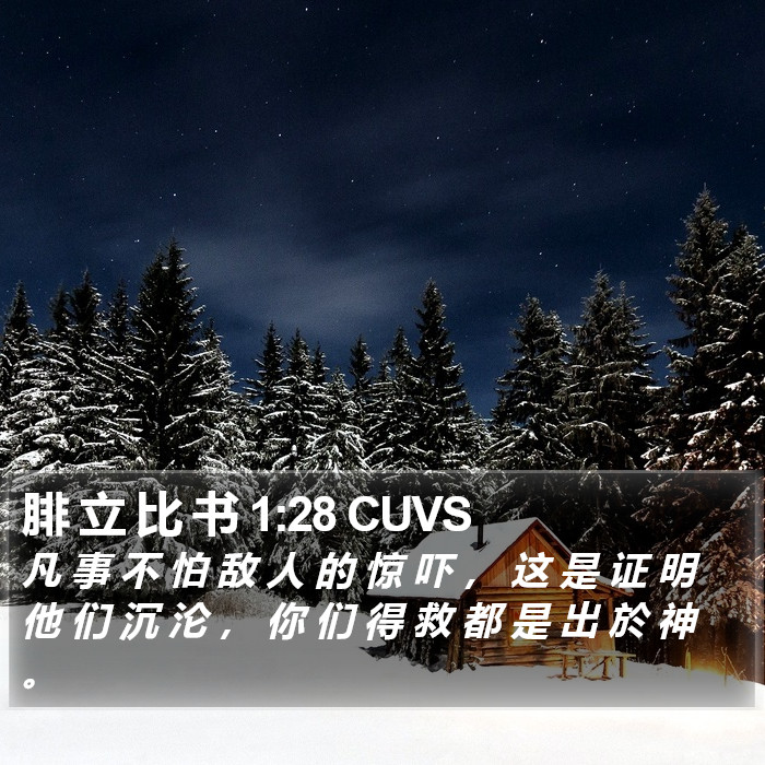 腓 立 比 书 1:28 CUVS Bible Study