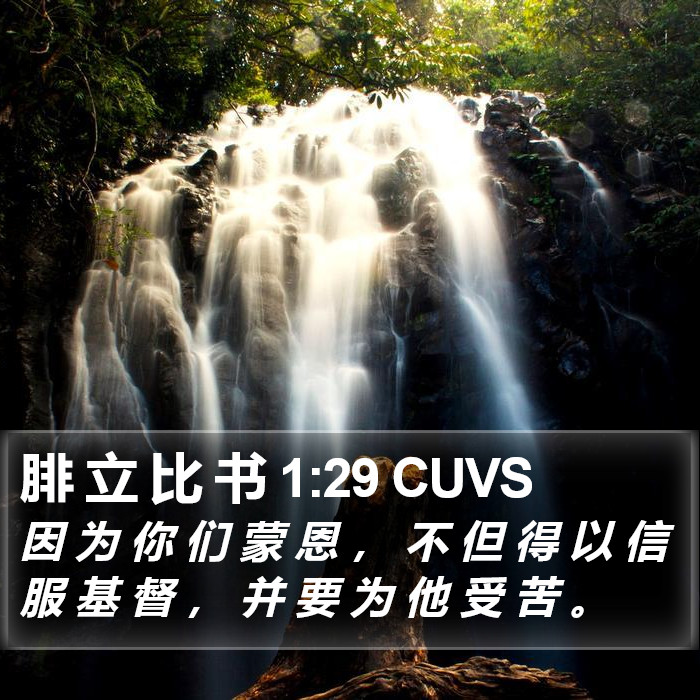 腓 立 比 书 1:29 CUVS Bible Study