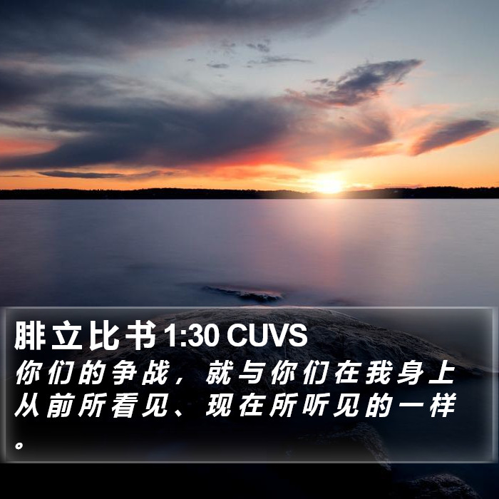 腓 立 比 书 1:30 CUVS Bible Study