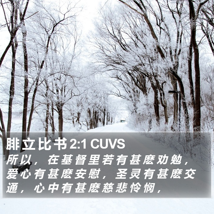 腓 立 比 书 2:1 CUVS Bible Study