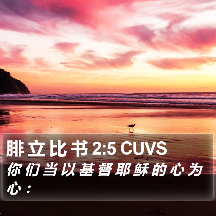 腓 立 比 书 2:5 CUVS Bible Study