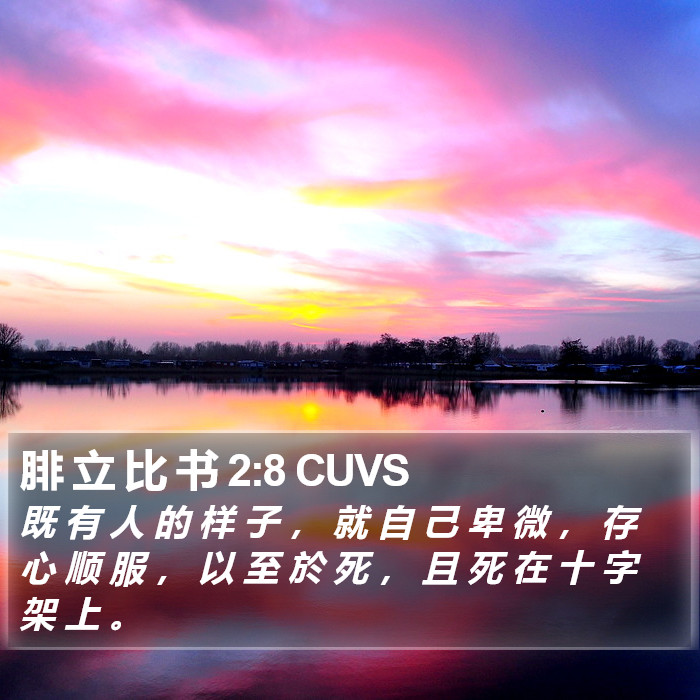 腓 立 比 书 2:8 CUVS Bible Study