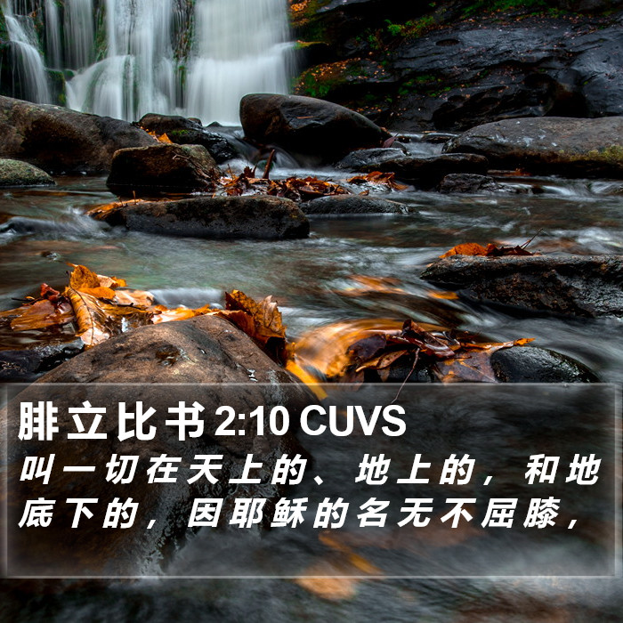 腓 立 比 书 2:10 CUVS Bible Study