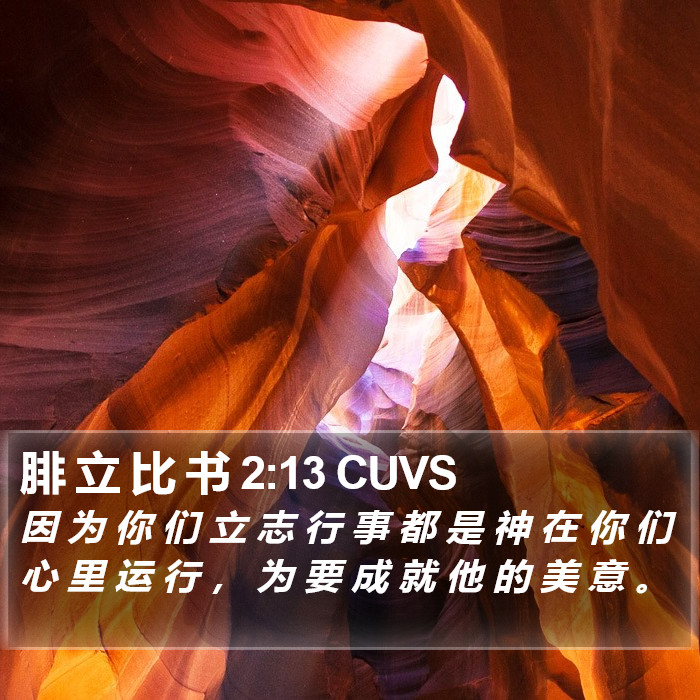 腓 立 比 书 2:13 CUVS Bible Study