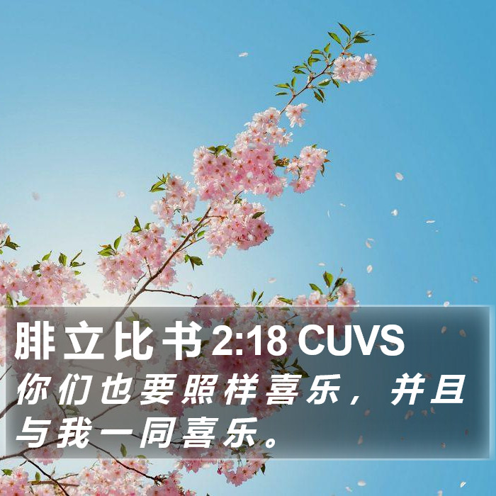 腓 立 比 书 2:18 CUVS Bible Study