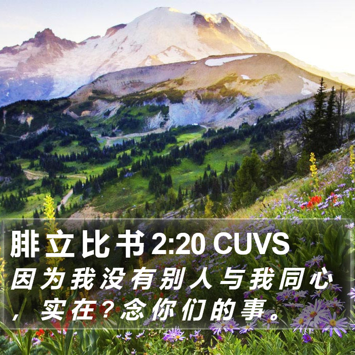 腓 立 比 书 2:20 CUVS Bible Study