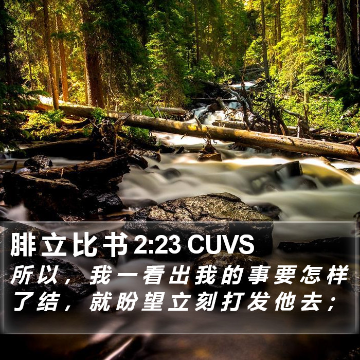 腓 立 比 书 2:23 CUVS Bible Study