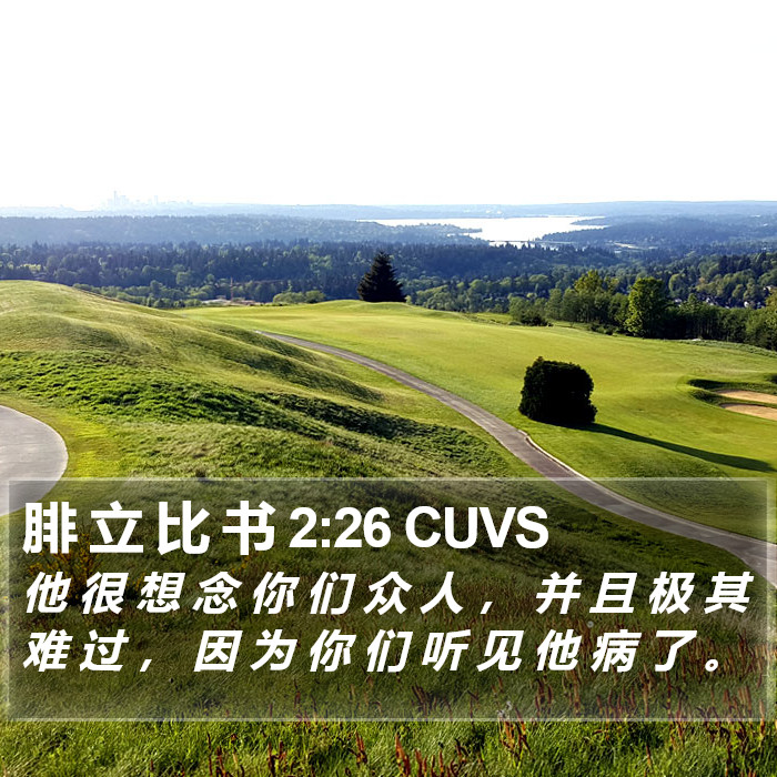 腓 立 比 书 2:26 CUVS Bible Study