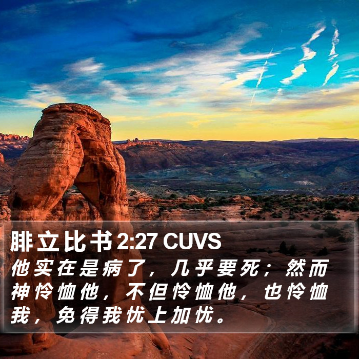 腓 立 比 书 2:27 CUVS Bible Study