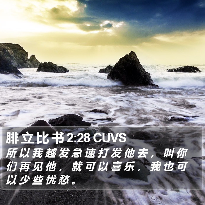 腓 立 比 书 2:28 CUVS Bible Study