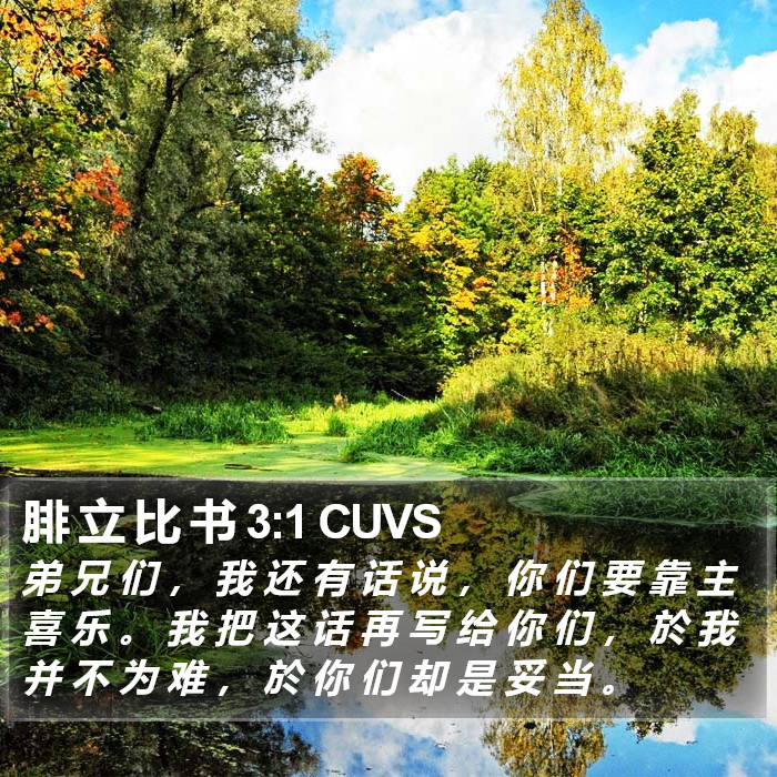 腓 立 比 书 3:1 CUVS Bible Study