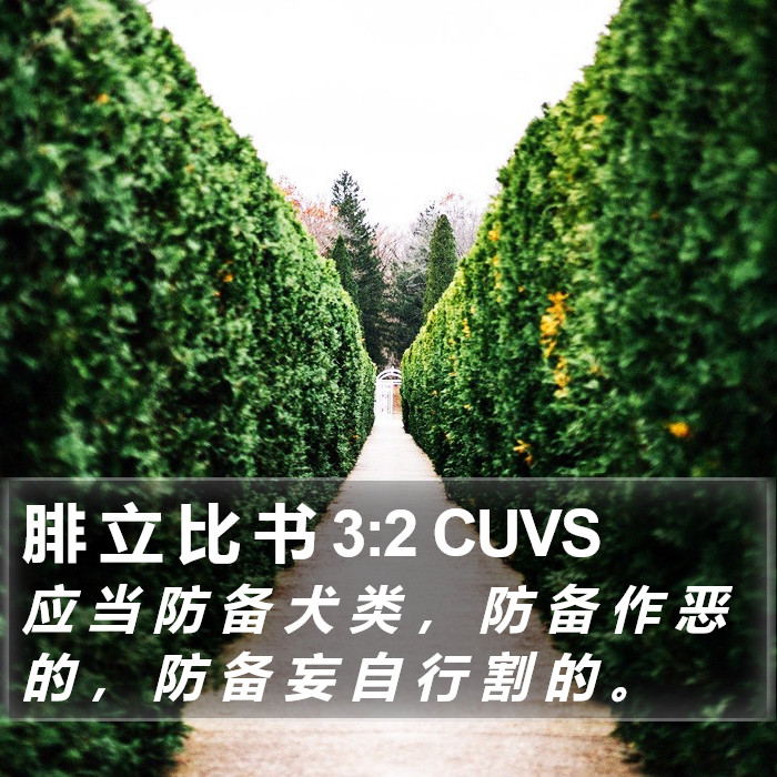 腓 立 比 书 3:2 CUVS Bible Study